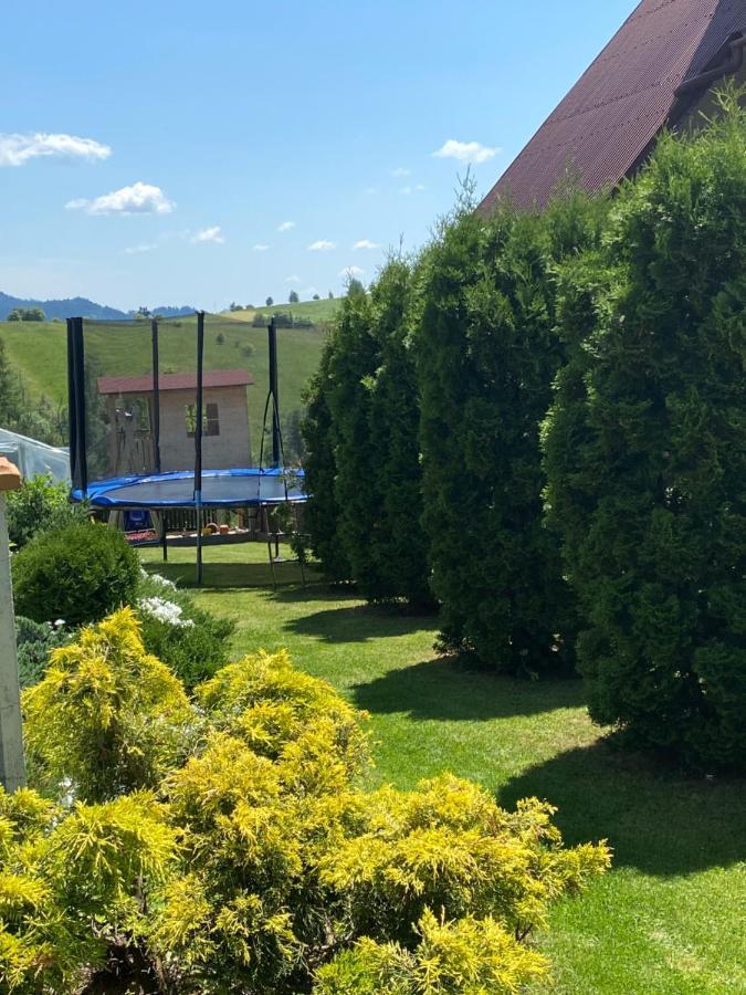 Agroturystyka U Ireny Mizerna Buitenkant foto